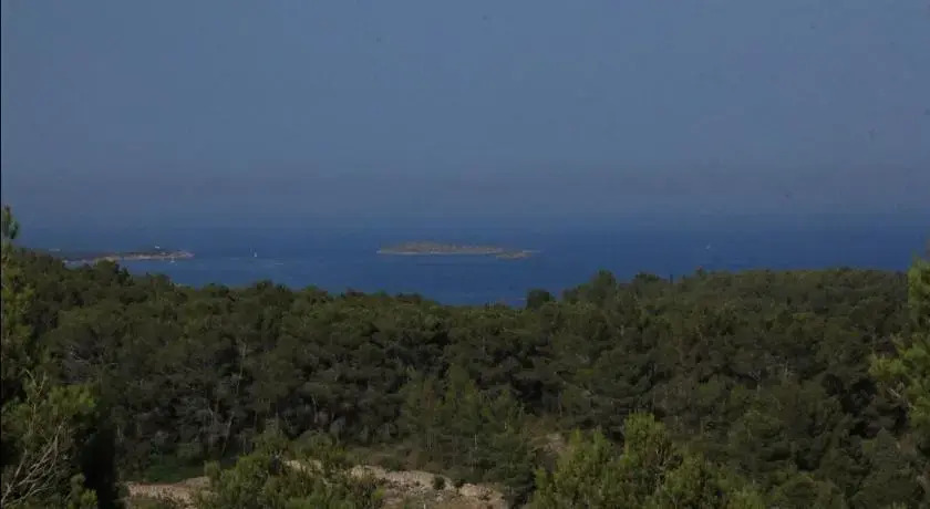 Villa Magnolia