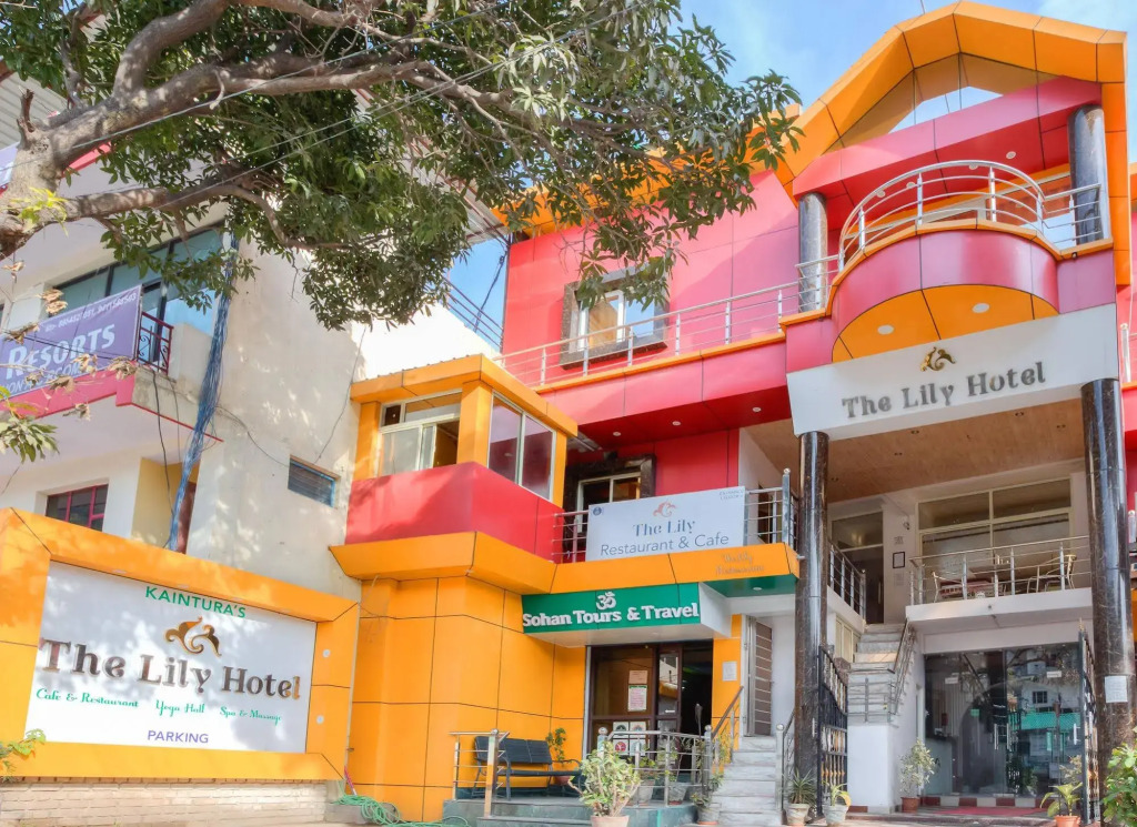 The Lily Hotel