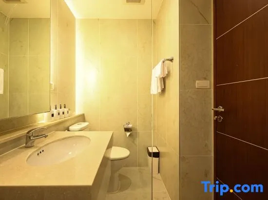 Luxury Apartment in Down Town