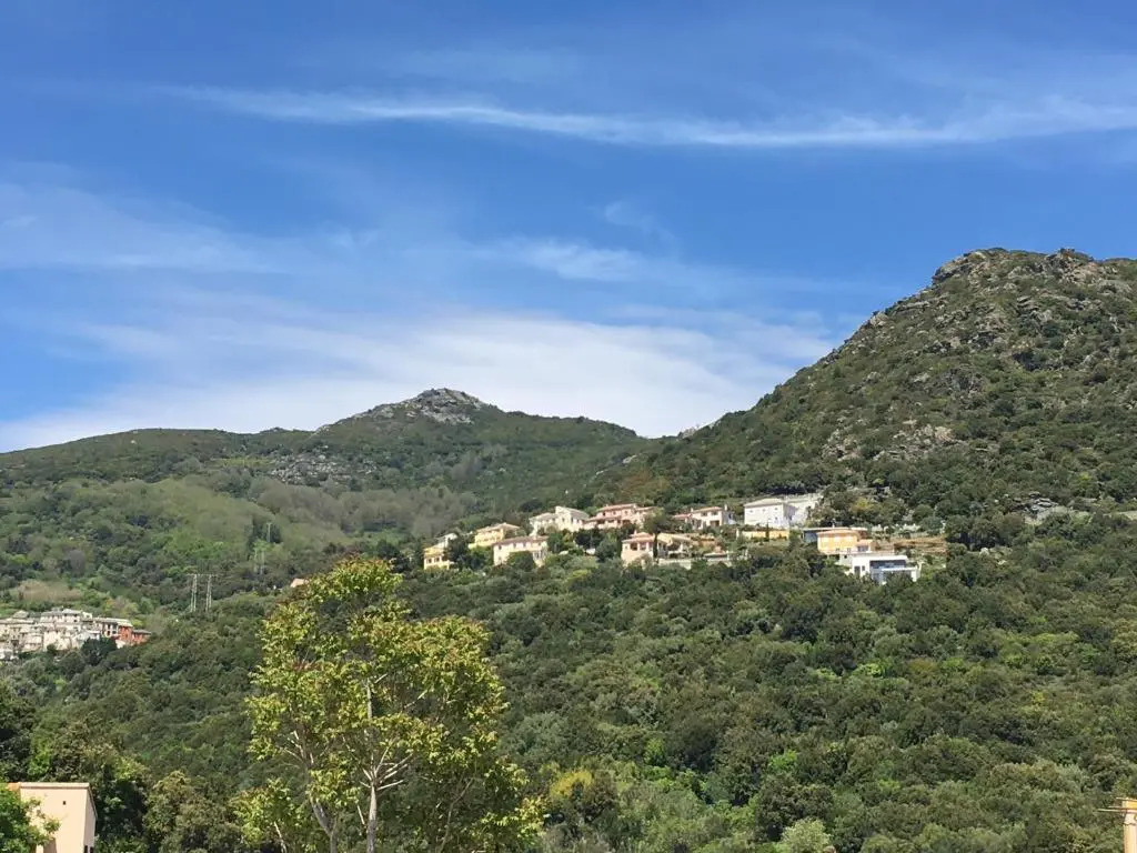 Charmant T2 Hauteurs de Bastia