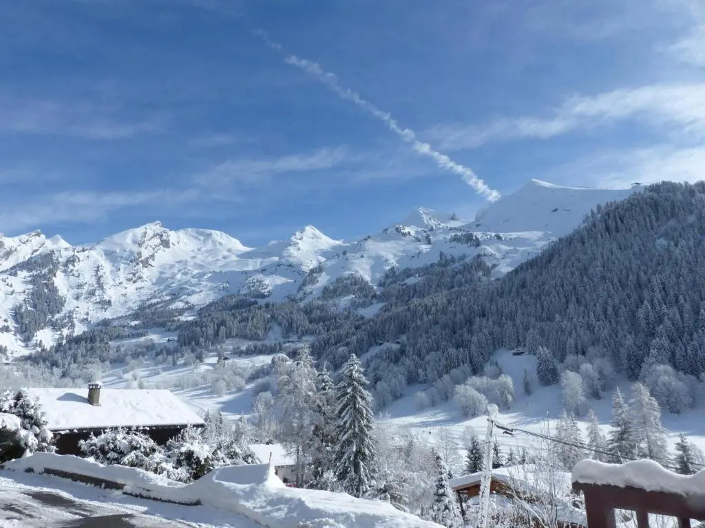 Appartement La Clusaz, 4 pièces, 8 personnes - FR-1-437-18