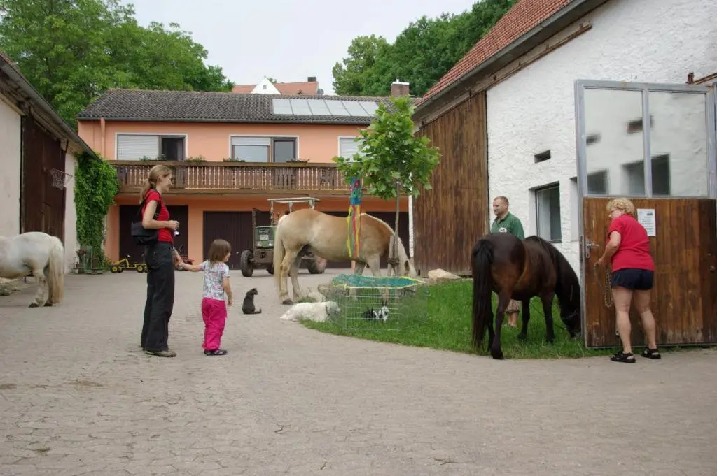 Ferienhof Amslinger