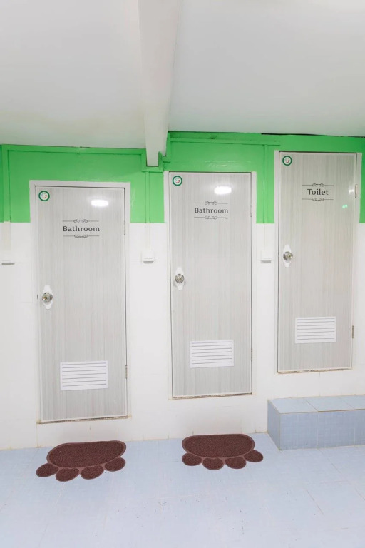 Little Monkey Hostel