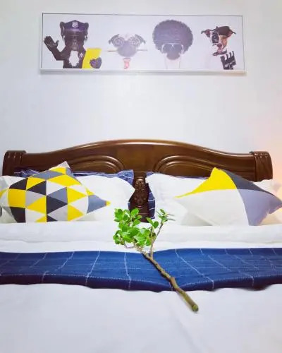 【Common Home】Dream House
