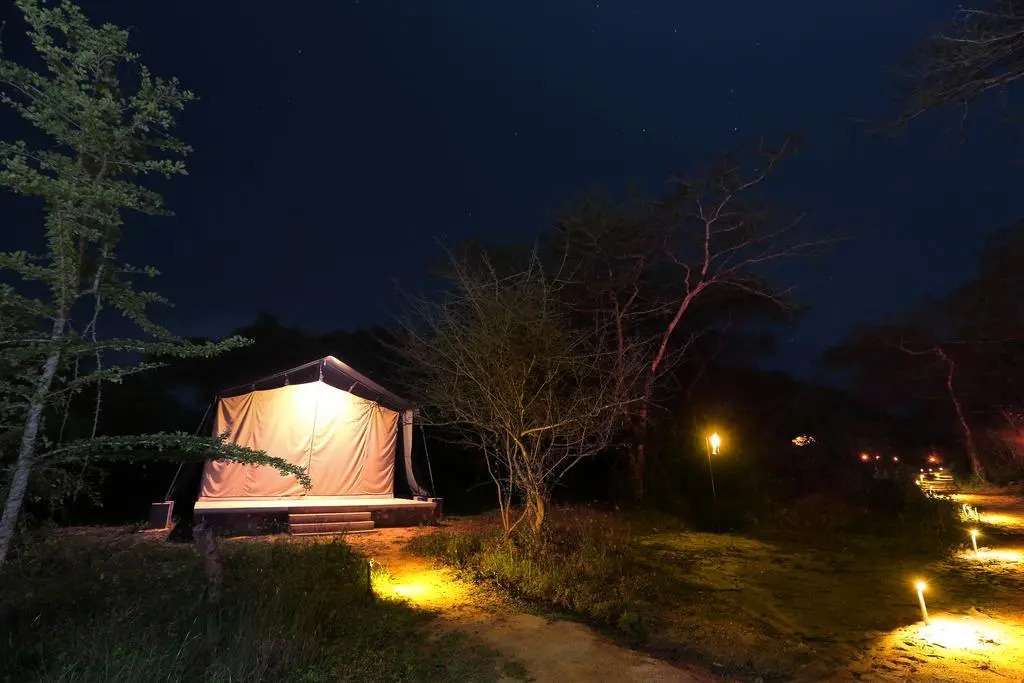 Wilpattu Safari Camp - Campground