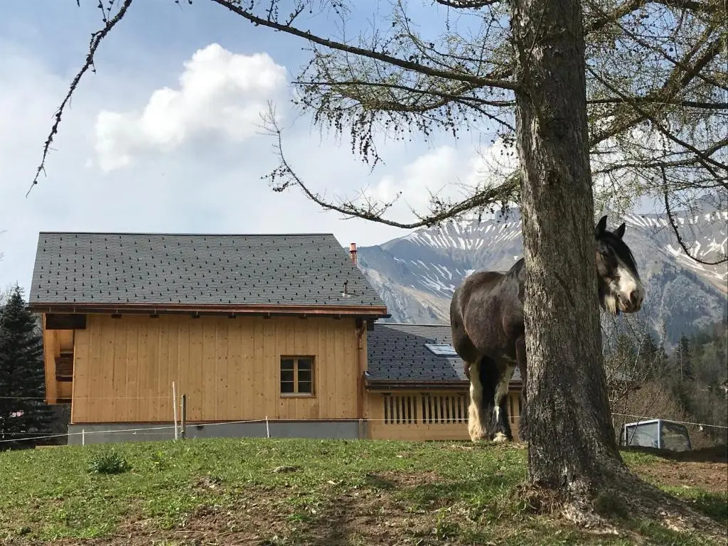 Au Pré des Chevaux