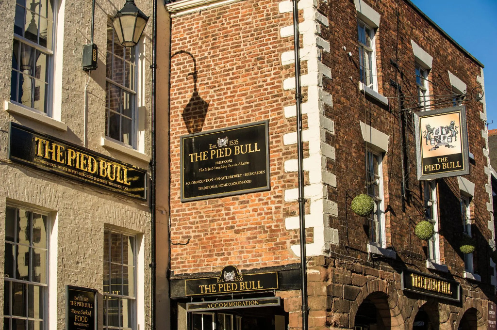 The Pied Bull