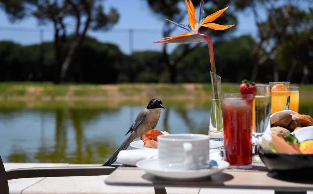 Pestana Vila Sol Golf - Vilamoura