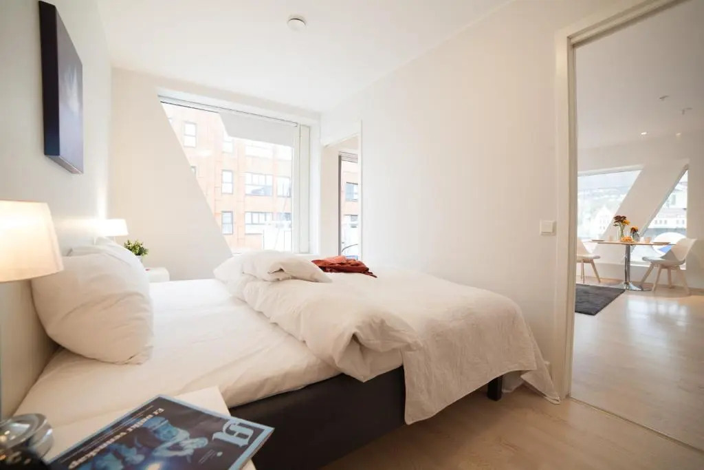 BJØRVIKA APARTMENTS, Damsgård Area, Bergen city center