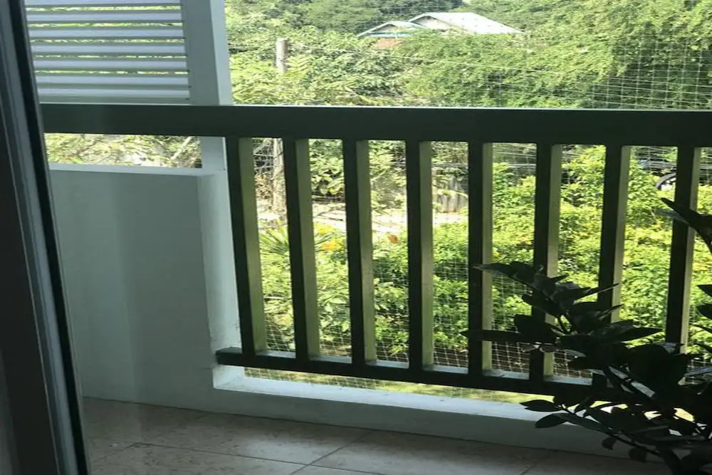Me And Tree Mansion
