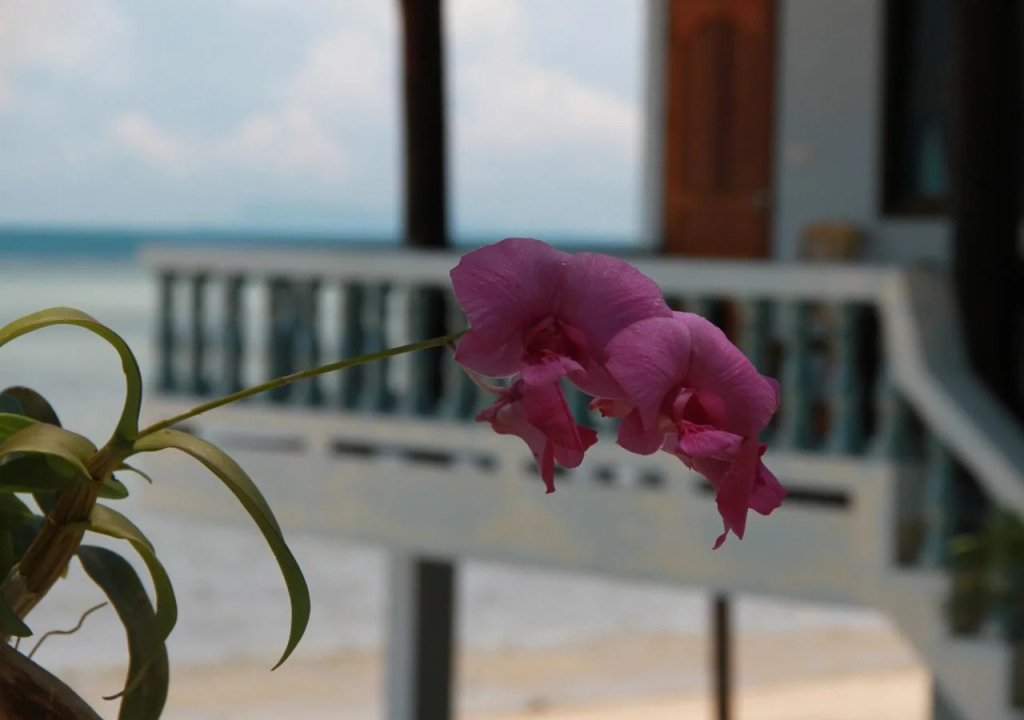 Sunsea Resort