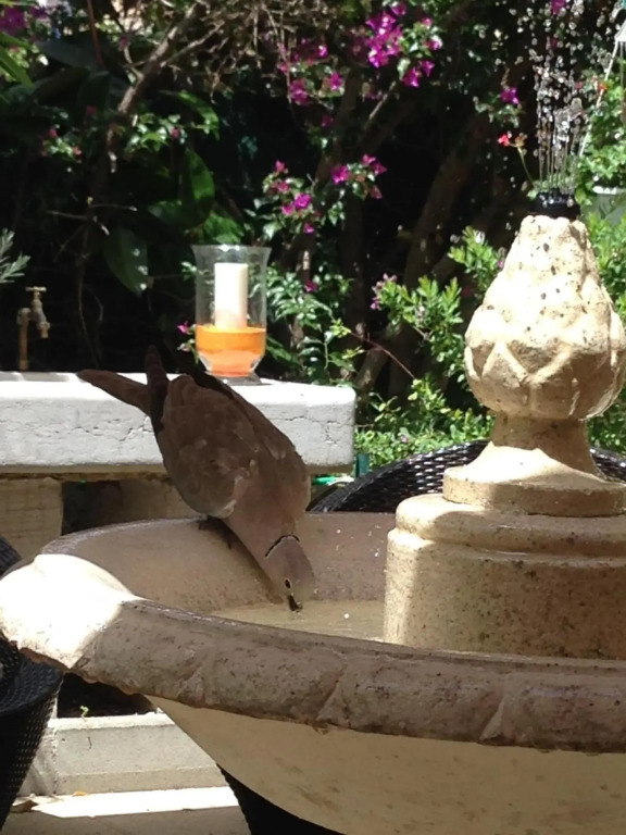 Hotel Chalet De Lisere