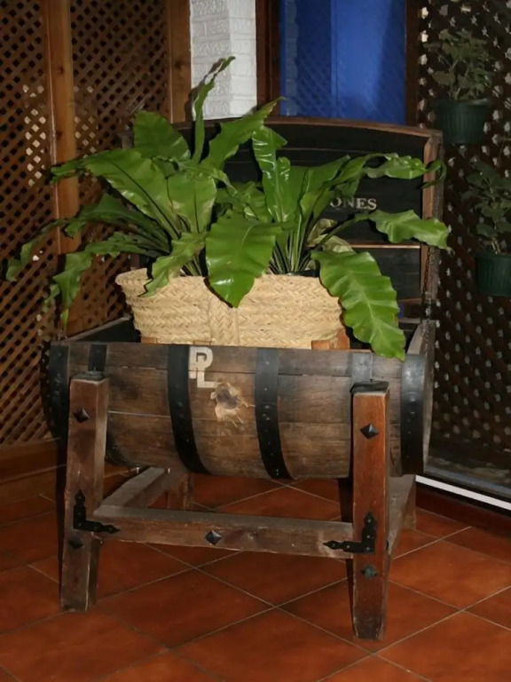Hotel El Hidalgo