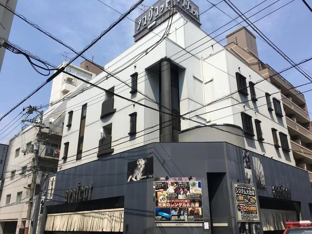 Hotel Apricot