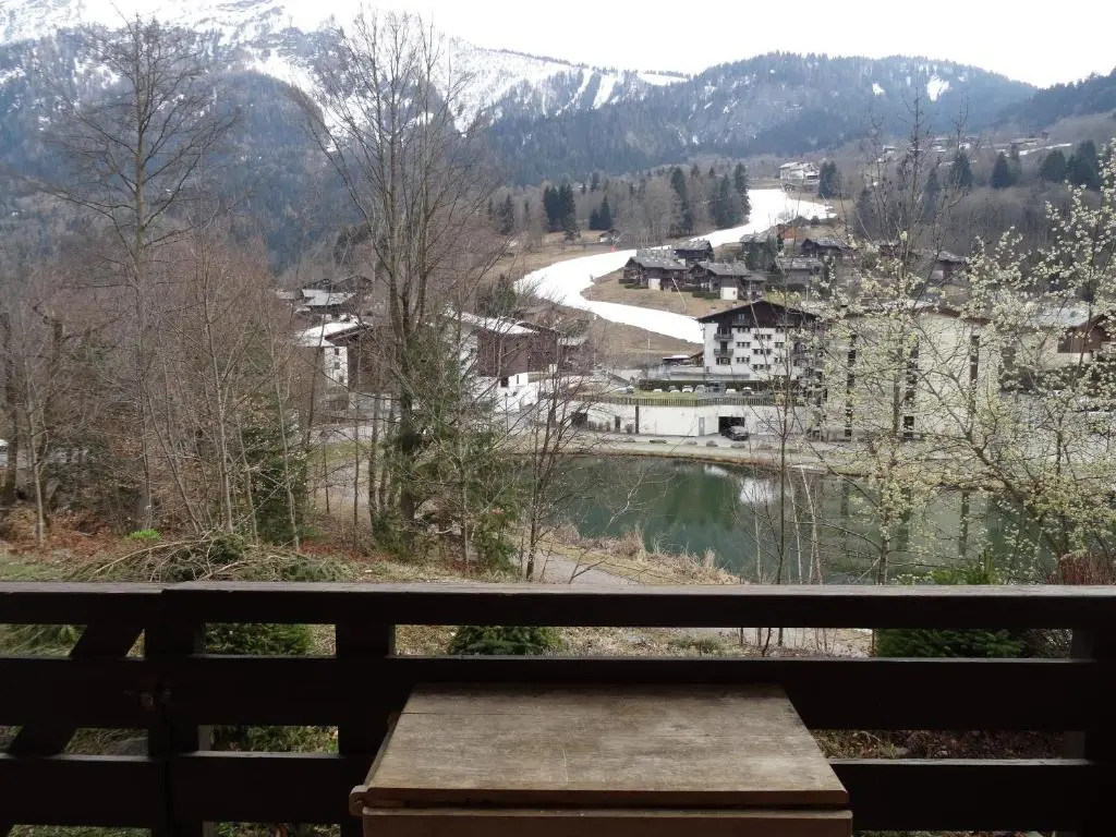 Studio Plein Sud. Vallée de Chamonix. Pieds de Pistes.
