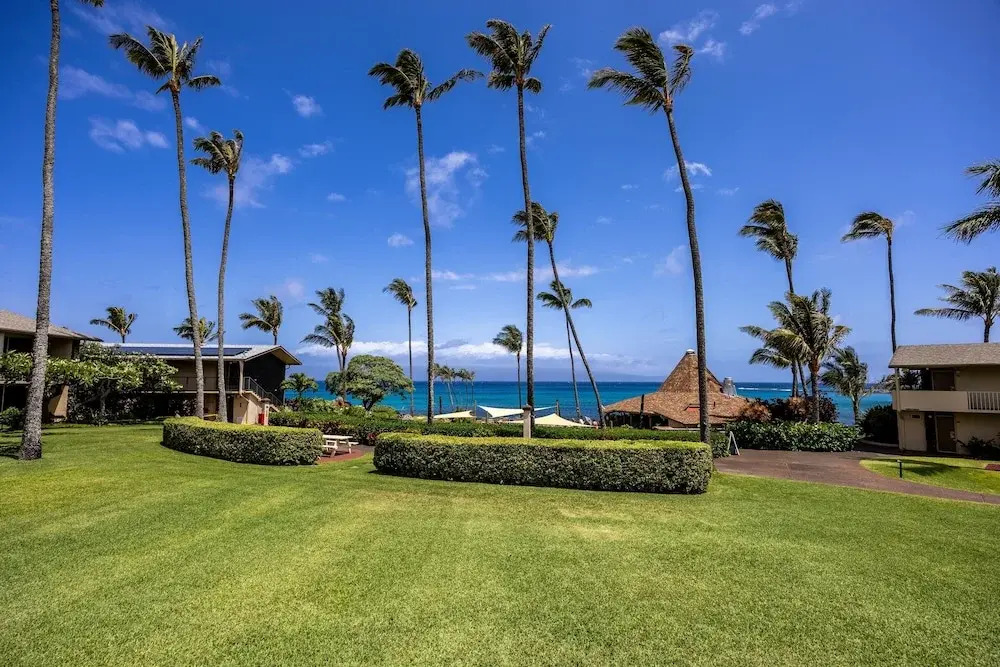 Napili Shores G258 Studio Condo Condo
