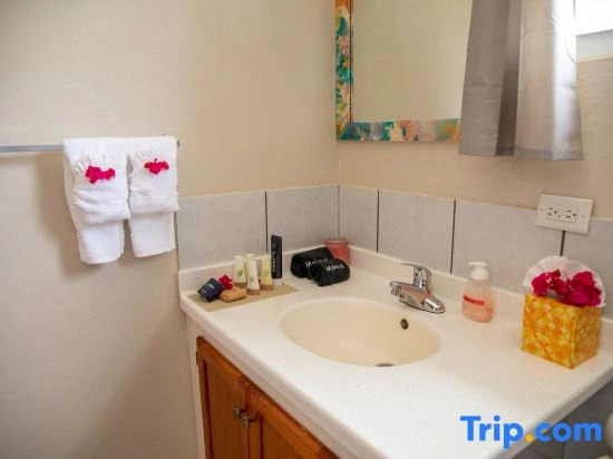Neem View Apartments Antigua