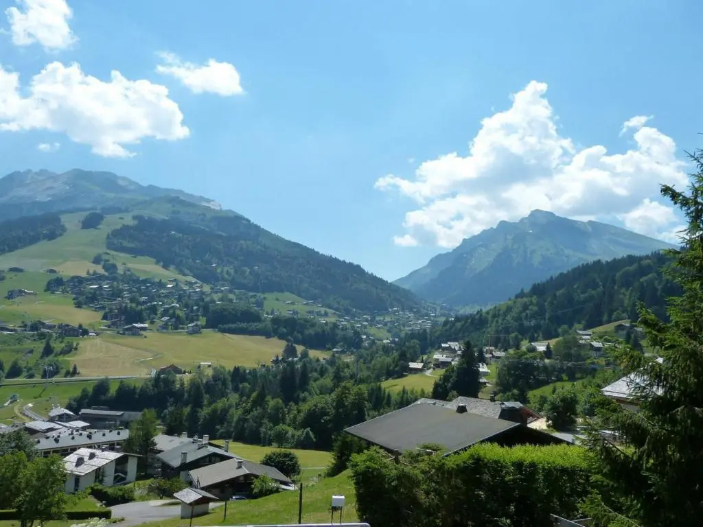 Appartement La Clusaz, 2 pièces, 4 personnes - FR-1-304-107