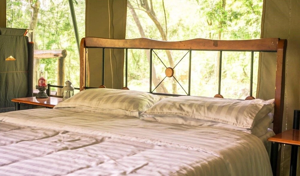 Kafue Dreams