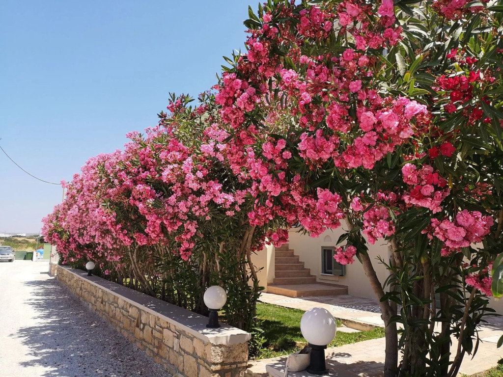 Finikas Hotel