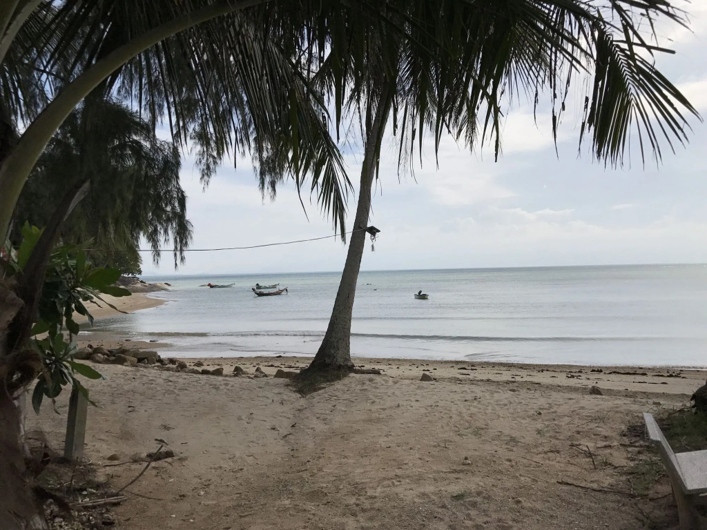 Blue Lotus Resort