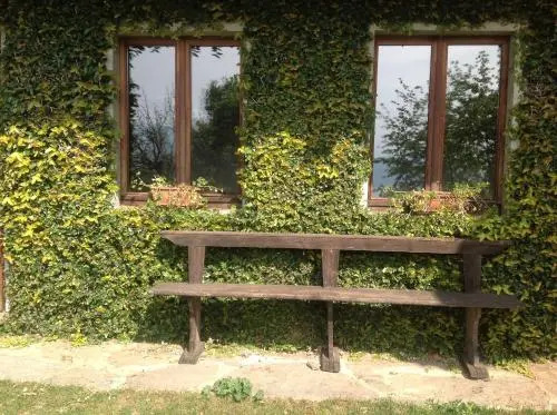 Il Ciliegio Selvatico