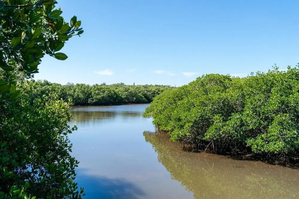 Cove at Sandy Pointe Unit 205a