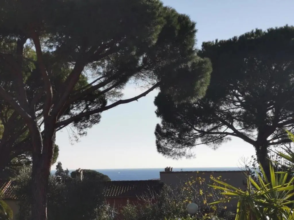 Appartement Cannes la Bocca, 2 pièces, 4 personnes - FR-1-609-14