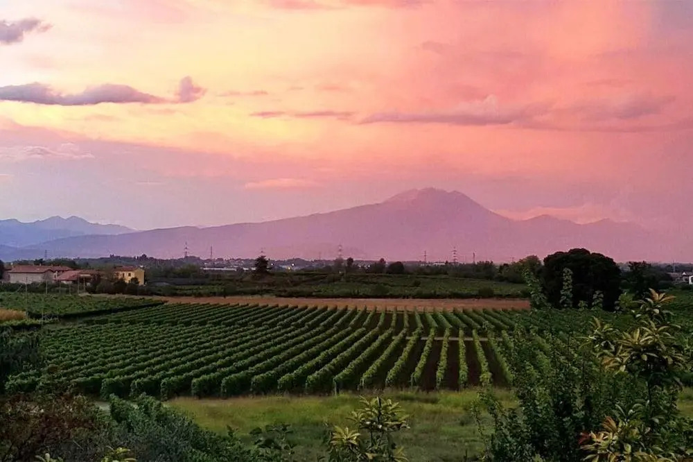Agriturismo Corte Zenati