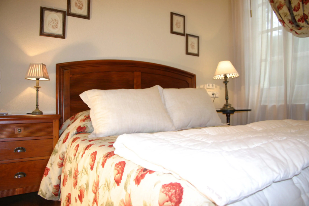 Hotel Palacio de las Nieves
