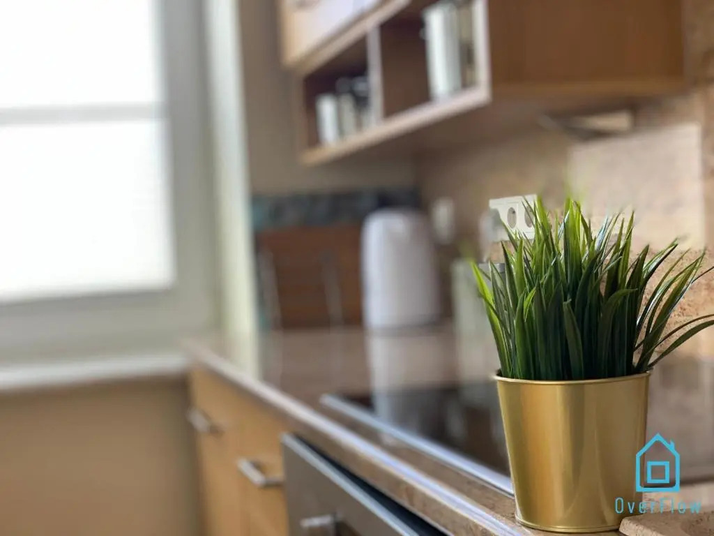 My Dear Apartment