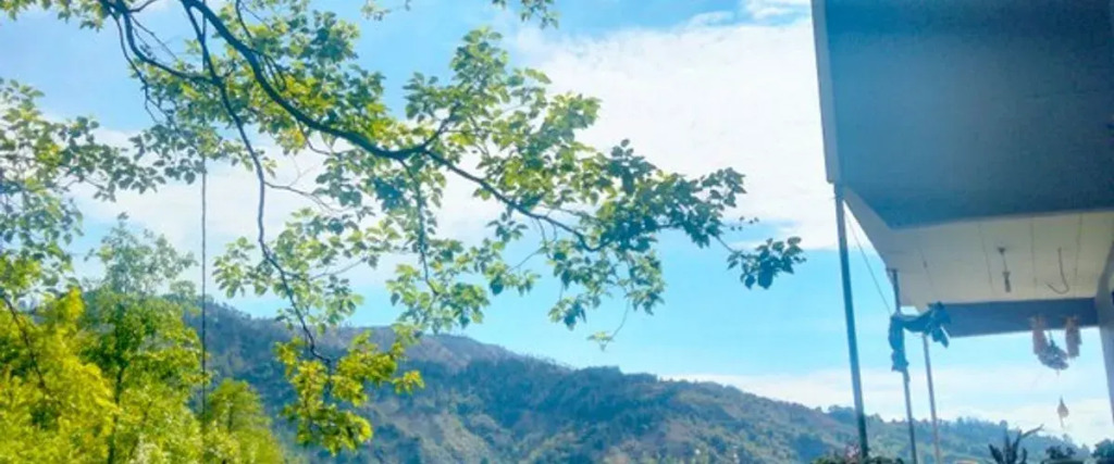 Patik Pansiyon