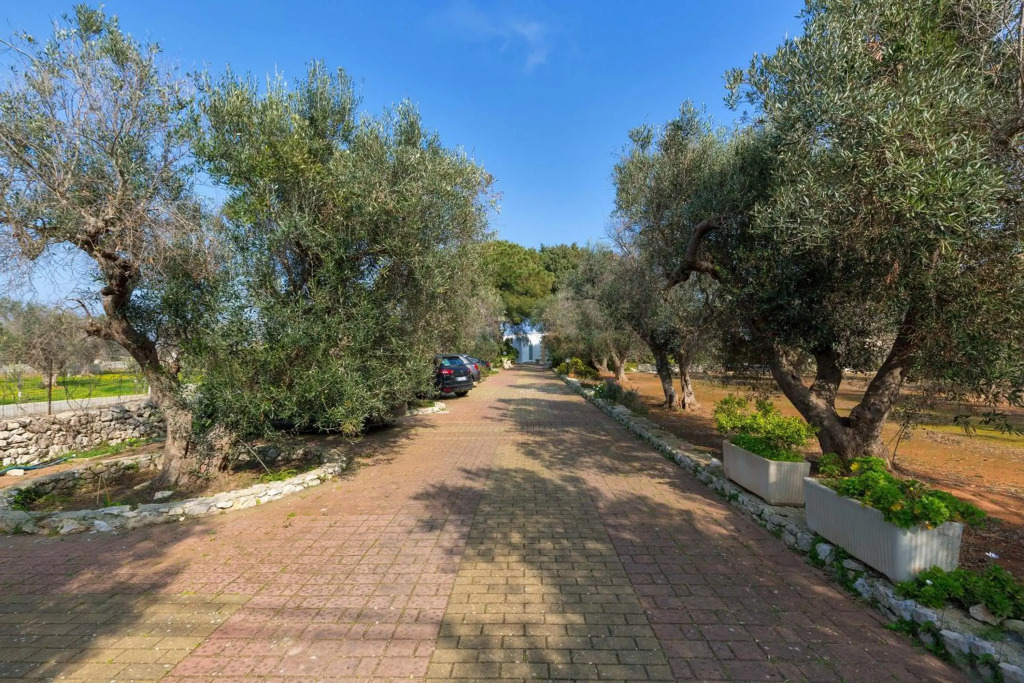 Villa Dario by BarbarHouse