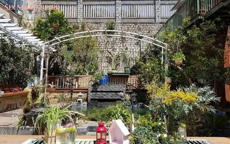 Six Six Garden - Rose Koi Homestay Dalat
