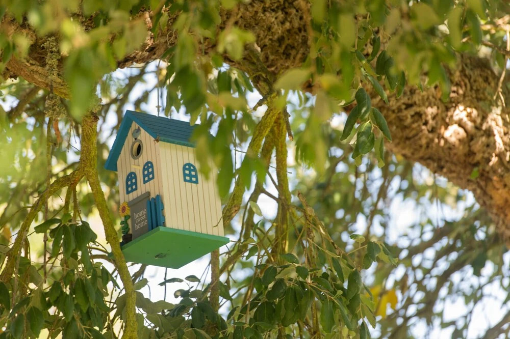MyStay - Herdade do Vale da Abelheira