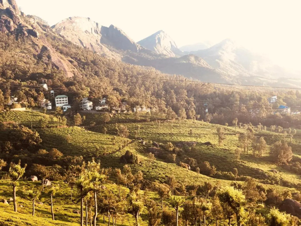 The Regalia Munnar