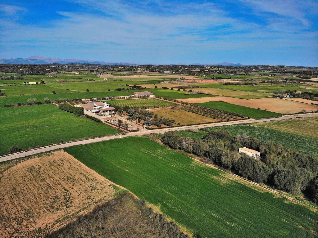 Villa Son Perxa 216 by Mallorca Charme