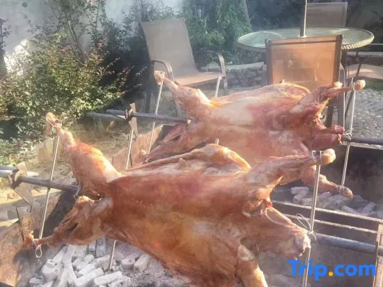 Fengshu Holiday Guesthouse