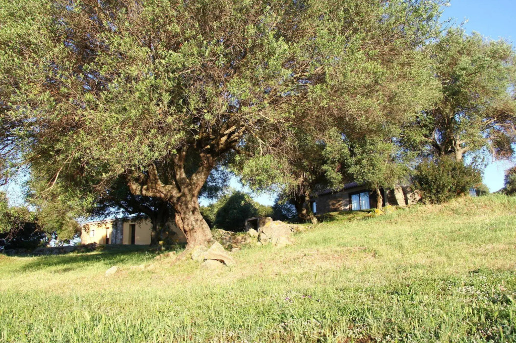 Liscia Country Relais