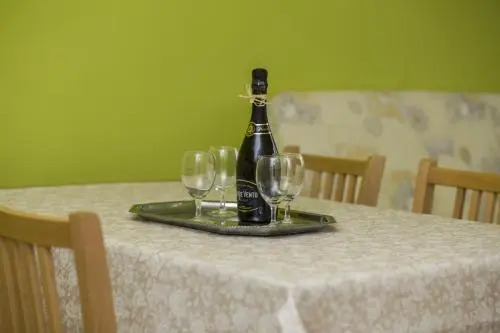 Apartment Zeleni 2916