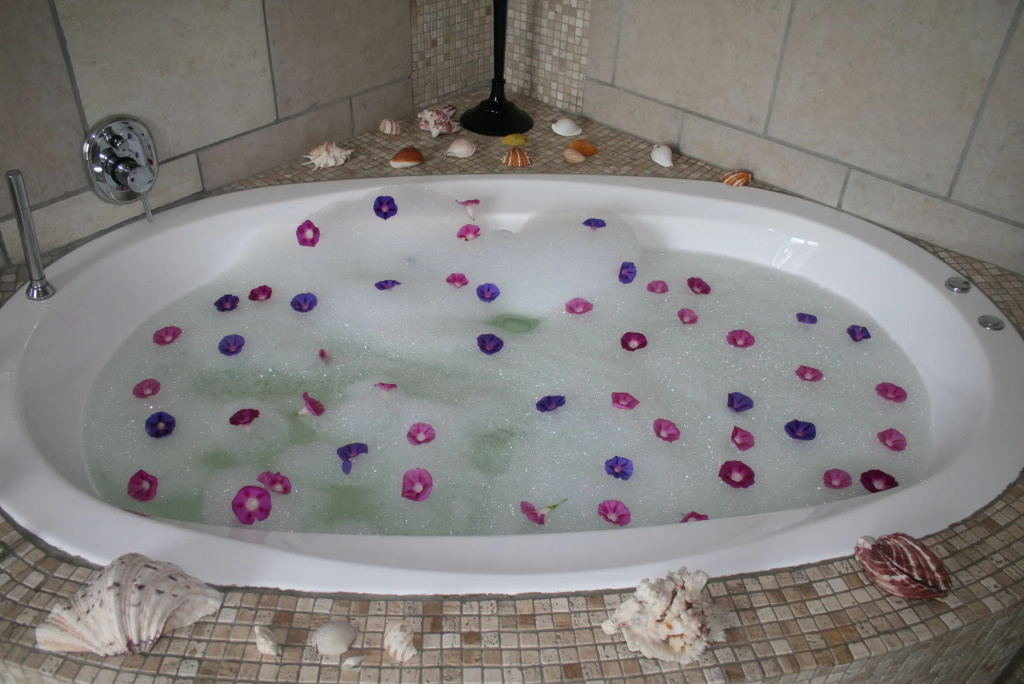 Africa Paradise Airport Boutique Hotel