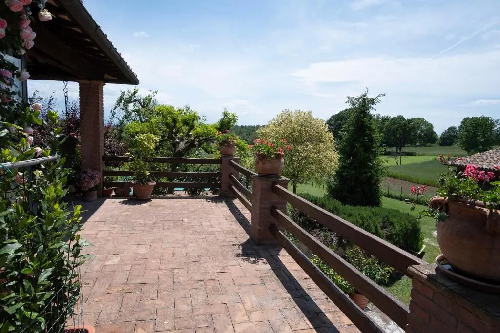 B&B Pino Cedro