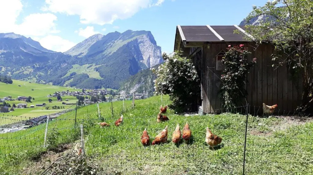 Fernblick Frühstückspension