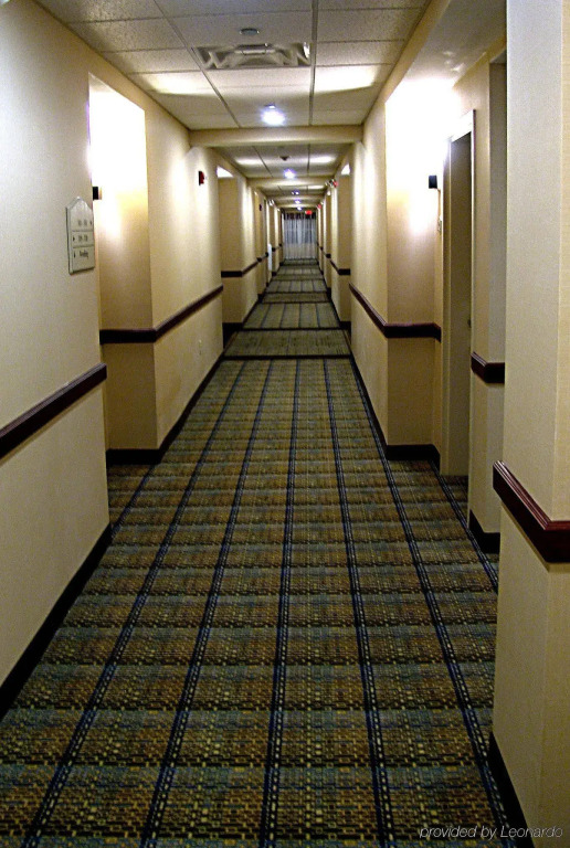 Holiday Inn Express & Suites Rochester by IHG