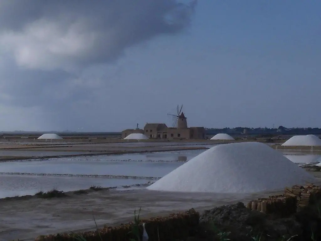 Colomba Bianca