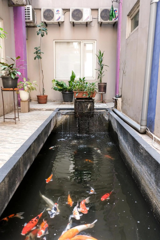 Hotel Dalu