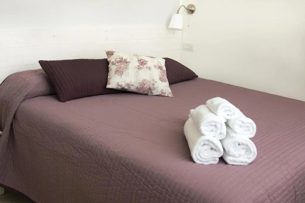 B&B Bucci 54