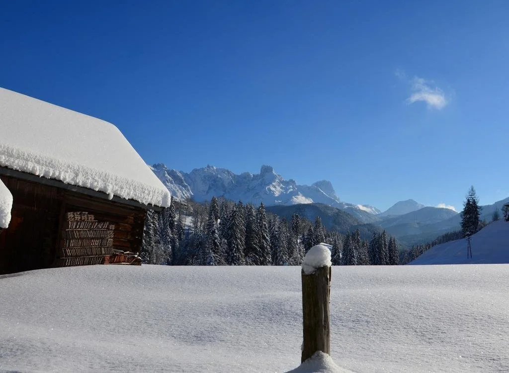 Apartments Alpenfrieden