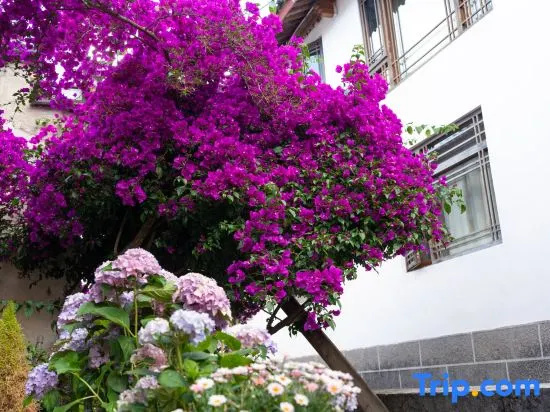 Know the summer. Li Garden Light Luxury Inn