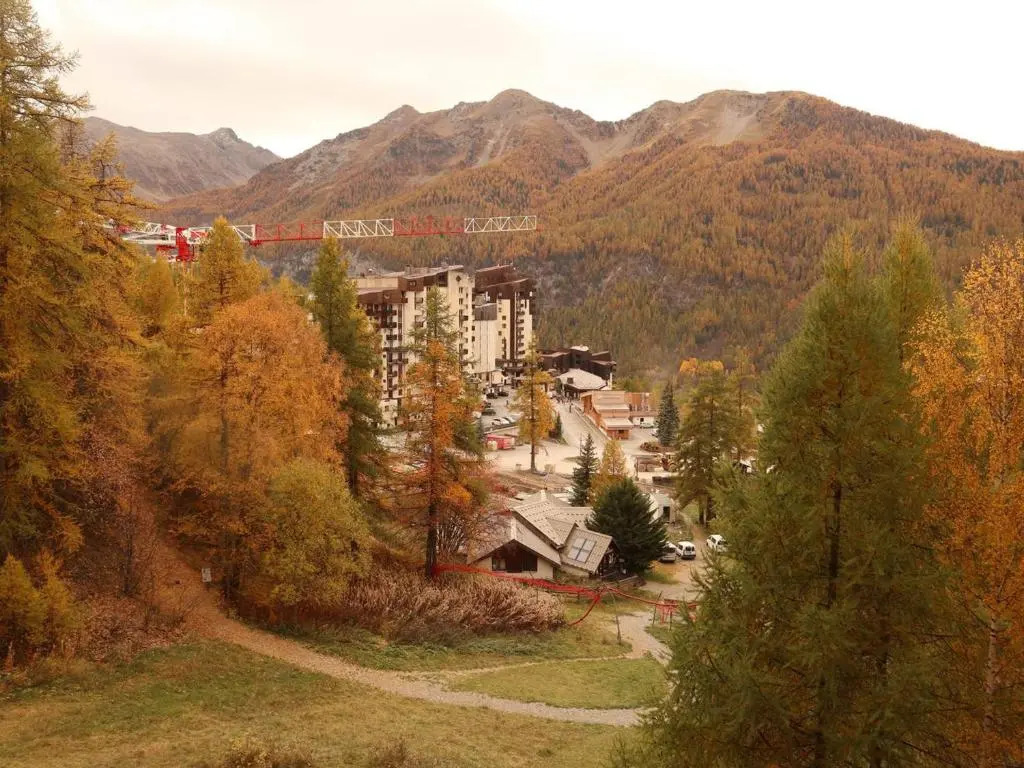 Appartement Les Orres, 1 pièce, 4 personnes - FR-1-322-222